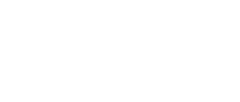 vp logo bile